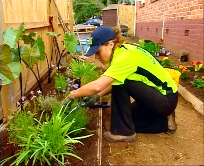 Maintaining the veges Maintaining the veges